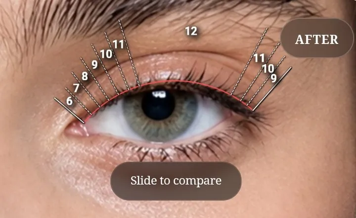 The same eye with the lash mapping drawn on in Brissie